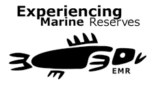 EMR