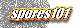 Spores101