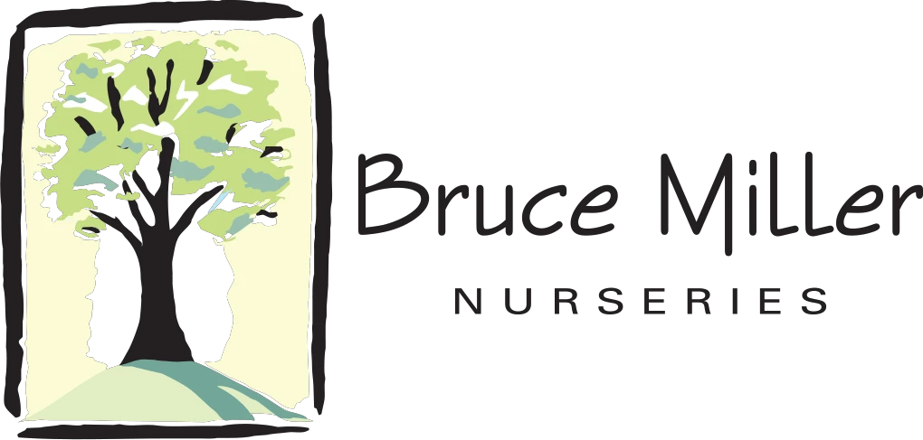 Bruce Miller Nursery