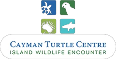 Cayman Turtle Centre