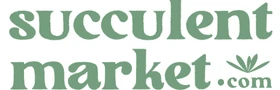 Succulent Market