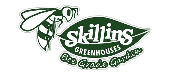 Skillins