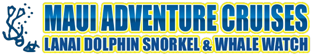 Maui Adventure Cruises