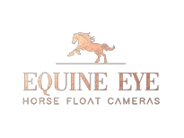 equine eye