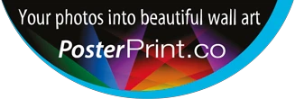 Poster Print