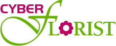 Cyber Florist