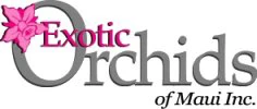 Exotic Orchids of Maui