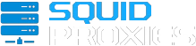 Squid proxies