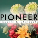 Pioneer Imports and Wholesale