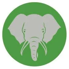 Elephant Trunk