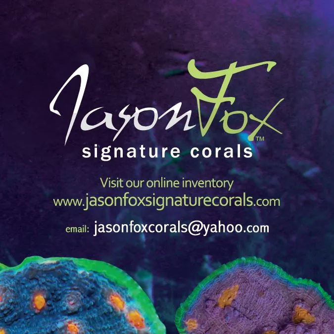 Jason Fox Signature Corals