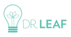 Dr Leaf