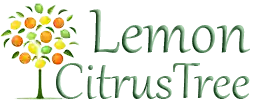 Lemon Citrus Tree