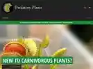 predatory-plants