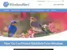 windowalert.com
