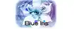 Blue Iris