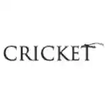 Cricket