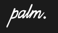 Palm Golf Company